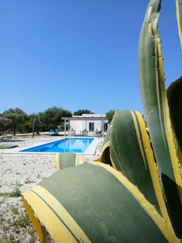 Noto Bed & Breakfast | Isola dei poeti
