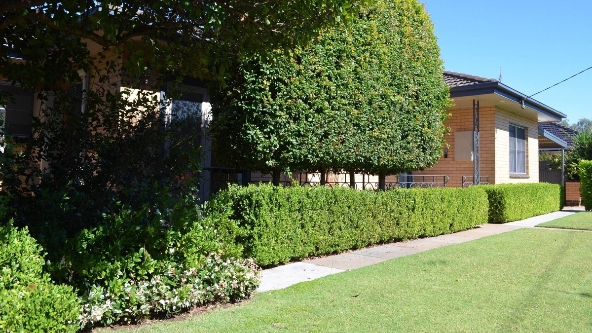 Sea Lake House | “It is by far the nicest and cleanest Airbnb we have ever stayed at”.