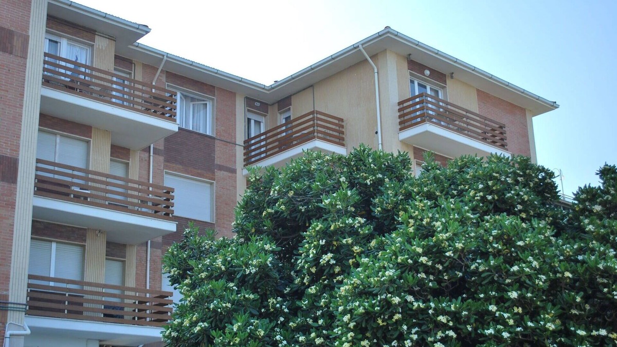 Marina di Castagneto Carducci Apartment | Cosy apartment for 4 people with A/C, WIFI, TV, balcony and panoramic view