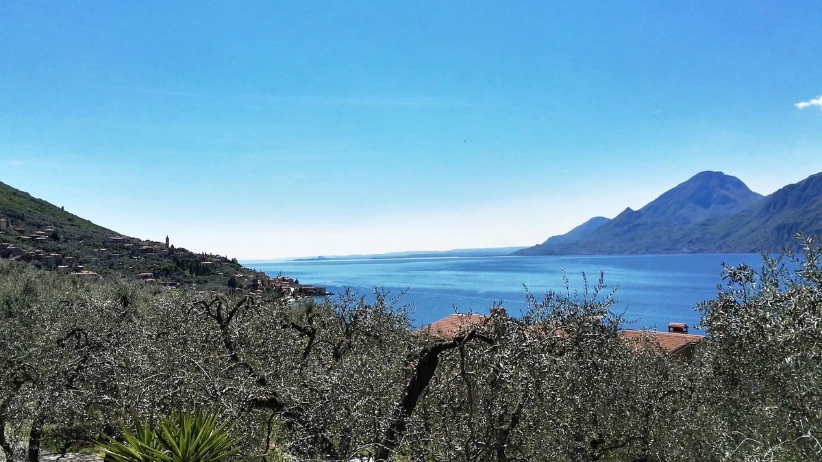 Assenza Apartment | SOLE: Welcoming apartment , relaxation,lake mountains olive grovess.