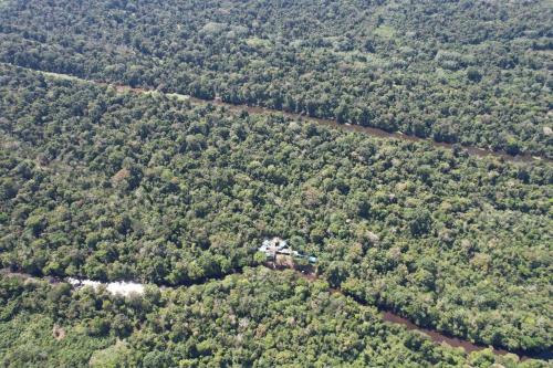 Indiana Cabin | Jacamar Lodge Expeditions