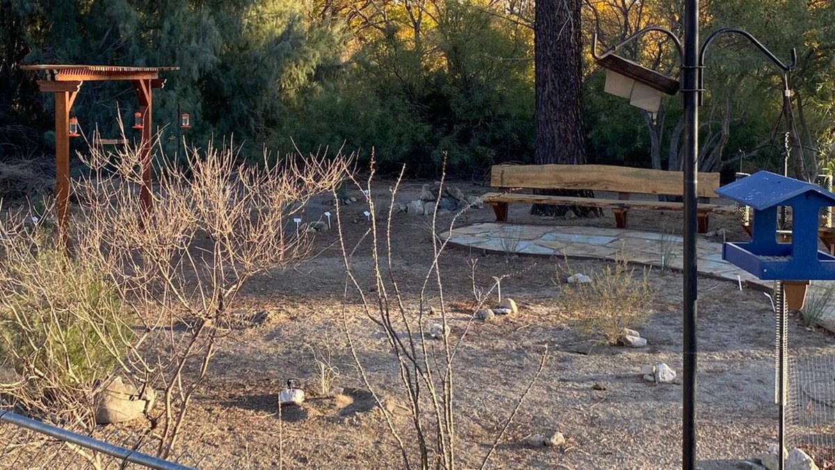 Morongo Valley House | ~(‾▿‾)~ Jack's Place ~ Birding Bliss & Cozy Beds Await!