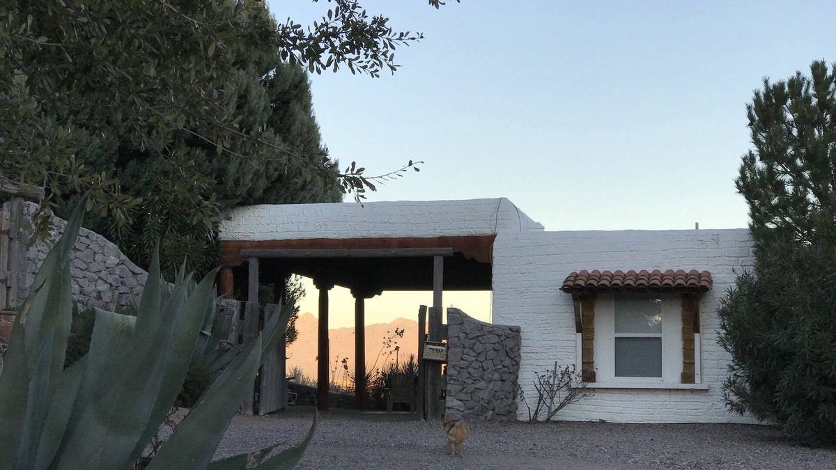 Mesilla Park House | JACKRABBITS & ROADRUNNERS-CACTI & QUAIL-pets ok