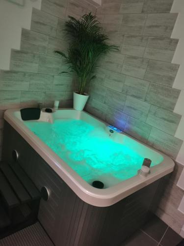 Vitrolles Bed & Breakfast | Jacuhomespa13
