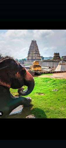 Hampi House | Jai Shivray