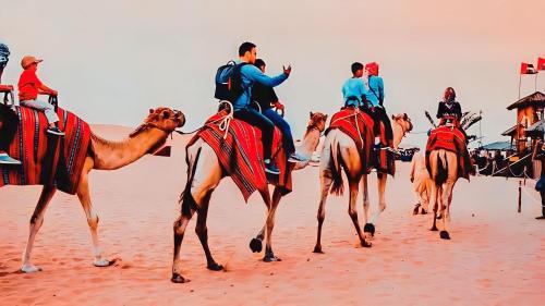 Jaisalmer Resort | JAISALMER THAR DESERT TENTED CAMP & ReSORT