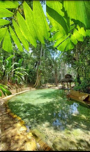 Sao Jose do Rio Claro Hotel | Jardim da Amazônia Lodge