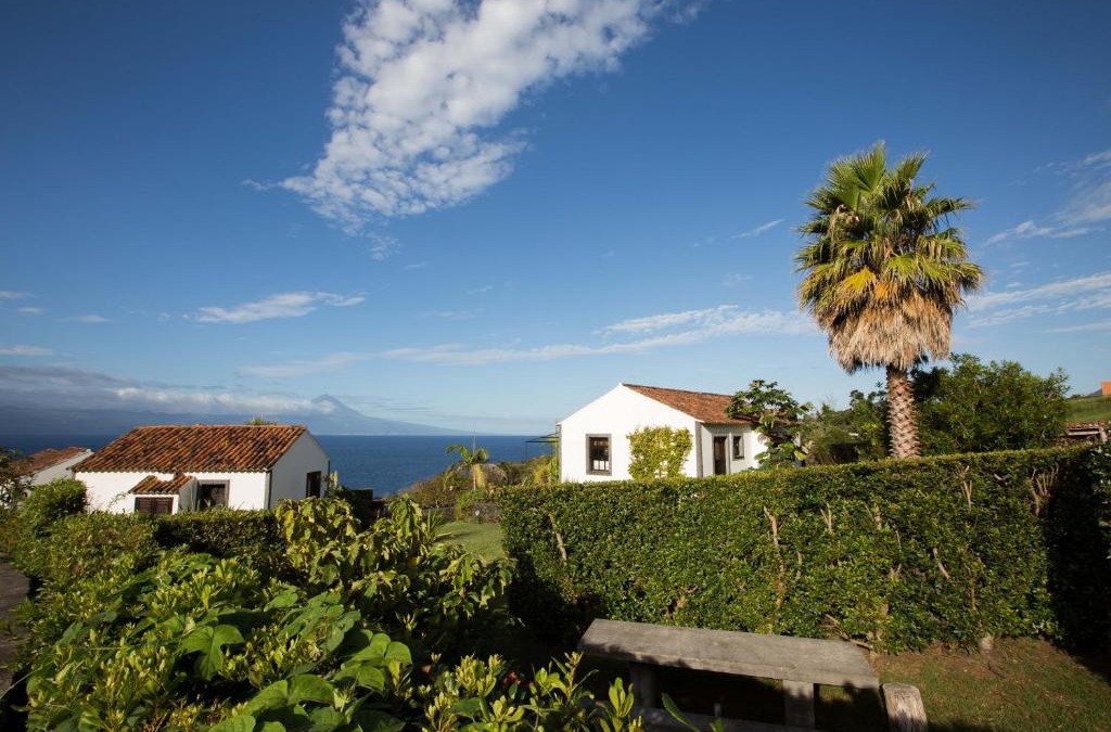 Velas Bed & Breakfast | Jardim do Triângulo - Alojamento local