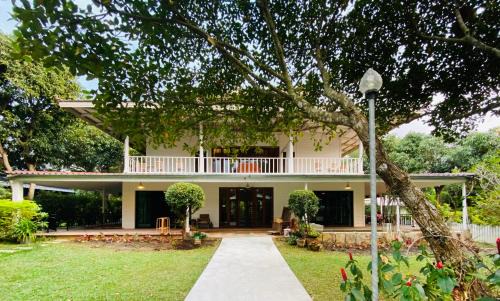 Pak Chong Resort | Jardin De Mangue Pakchong