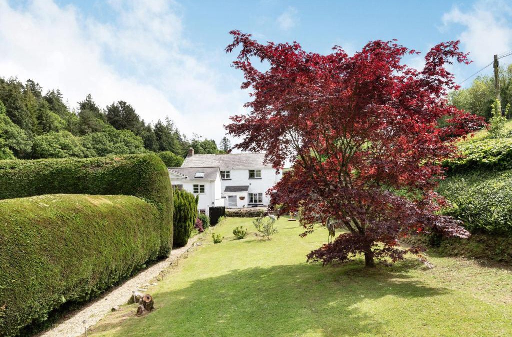 Muddiford House | Jarrah