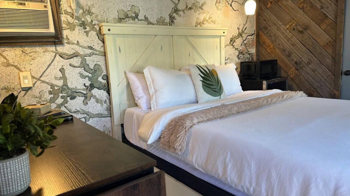 Greater East End Apartment | Jaw dropping, inner-loop bungalow with tiny home. A city retreat!