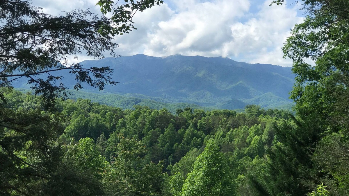 Black Bear Falls Cabin | Jaw Dropping View in Black Bear Falls