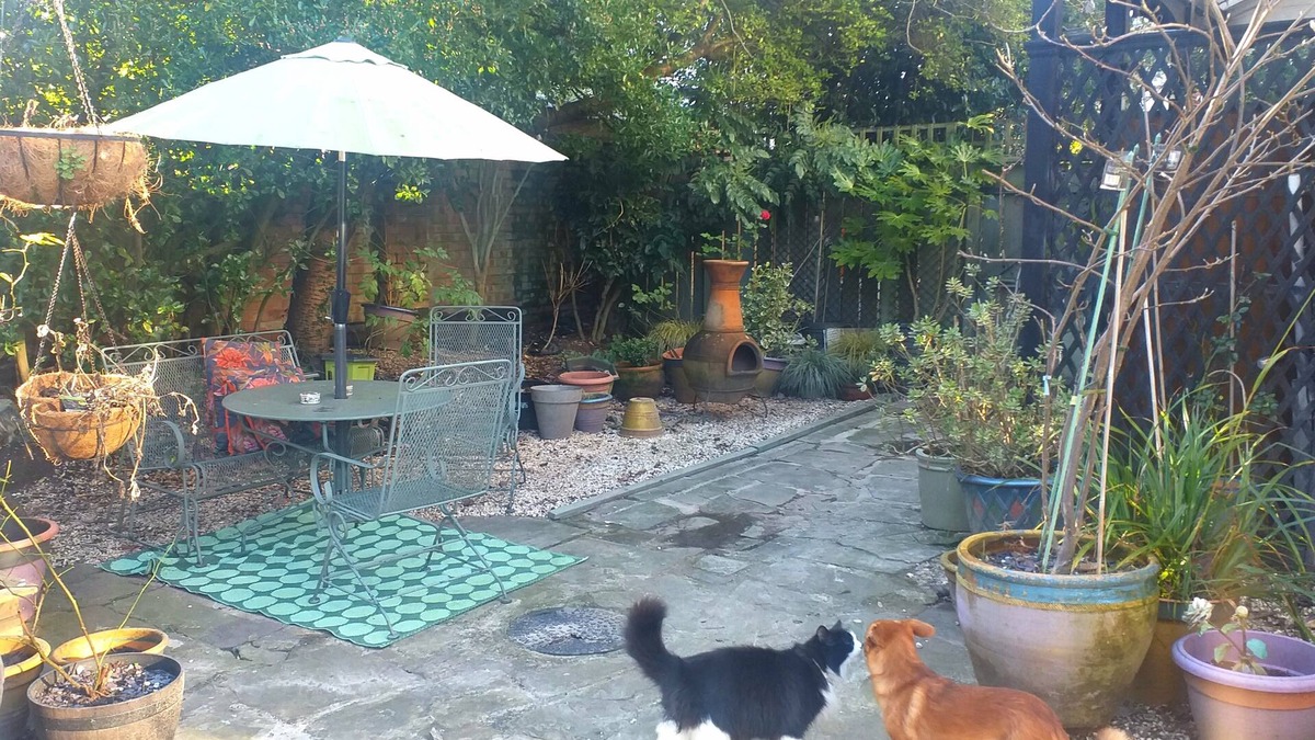 Hull Bed & Breakfast | Jesmond Vegan B&B