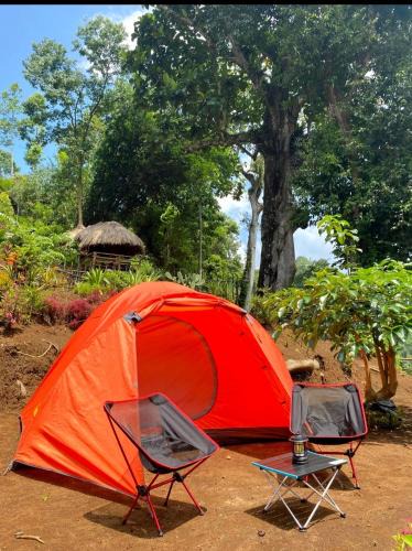 Argosari Other | Joe Nature Camp