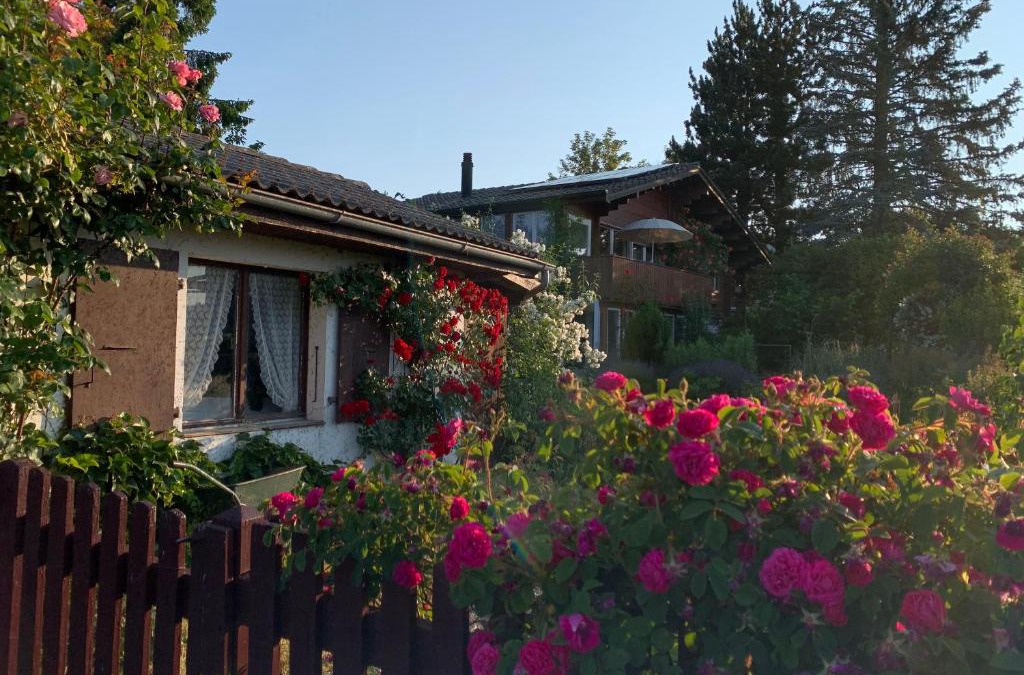 Le Vaud Bed & Breakfast | Jolie chambre dans chalet