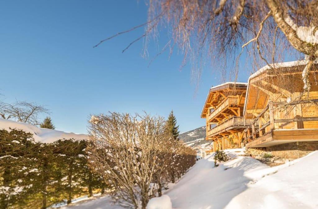 Chatel Ski Chalet | Joyau des neiges - Chalet - BO Immobilier - Châtel - Multipass été 2025 offert