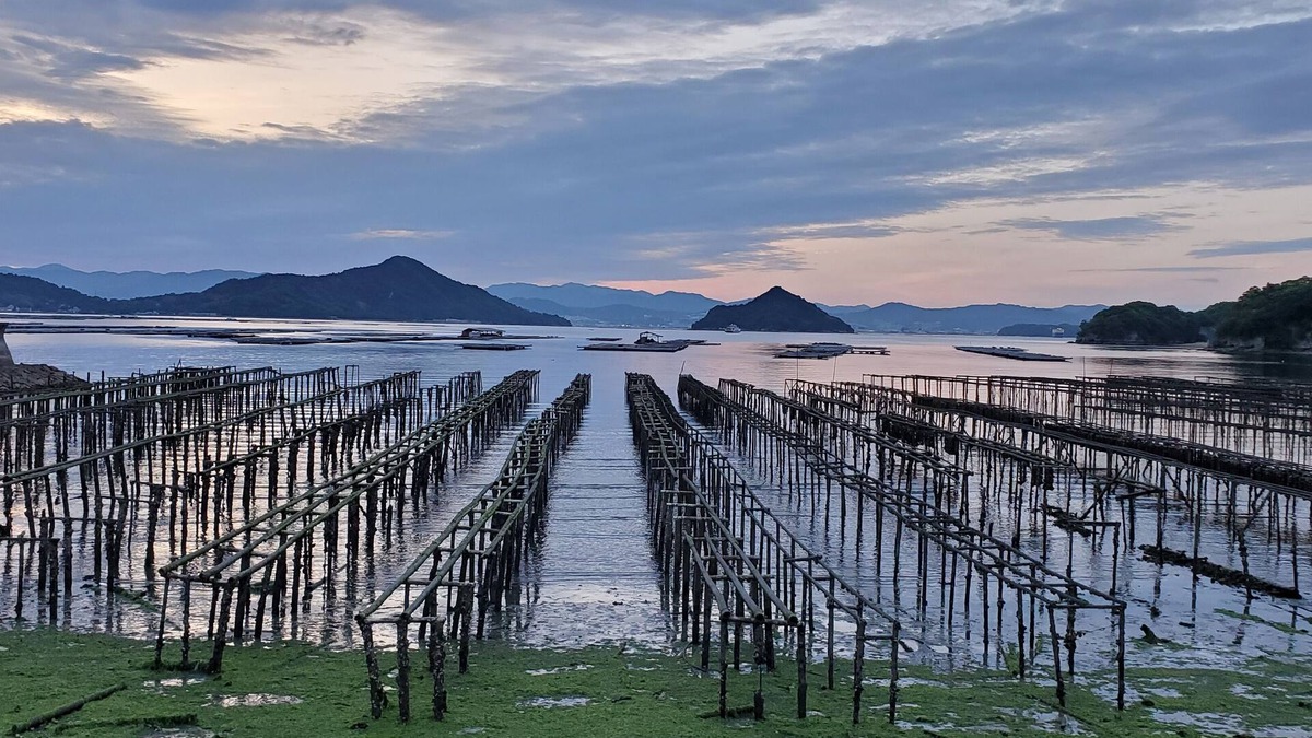 Hiroshima House | Kirikushi Coastal Village | 自然に囲まれたのどかな島の宿BBQ、焚き火、魚料理、釣り、SUP、サイクリング、島体験をしませんか?