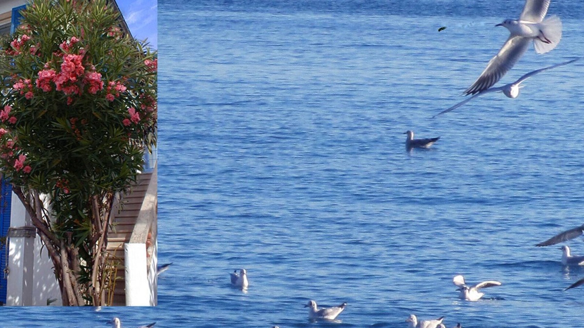 Antibes Apartment | Juan Les Pins: apartment/flat - Juan les Pins