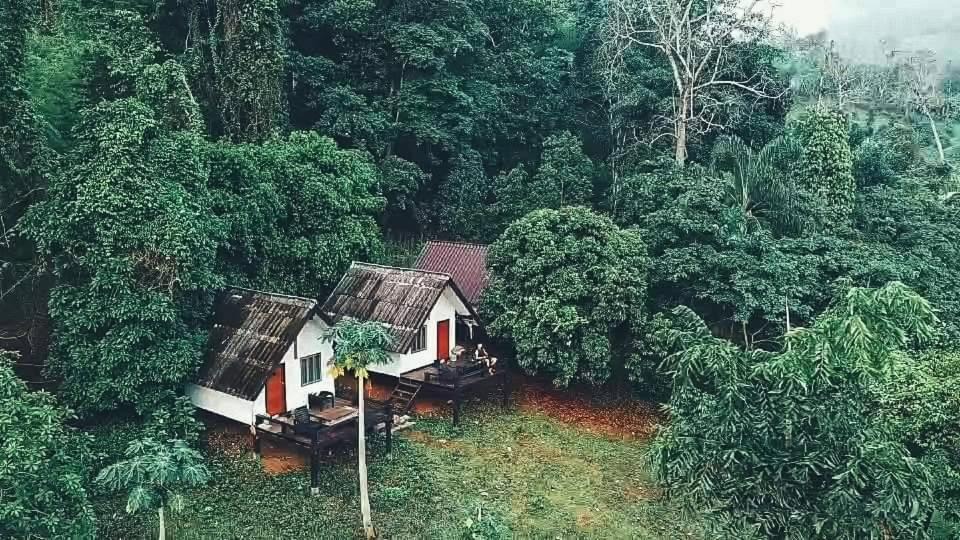 Pangmapha Hotel | Jungle guest house