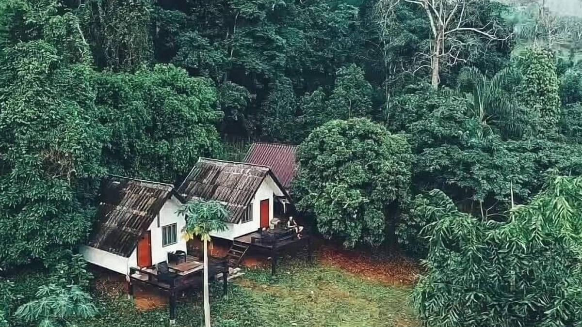Pangmapha House | Jungle guest house