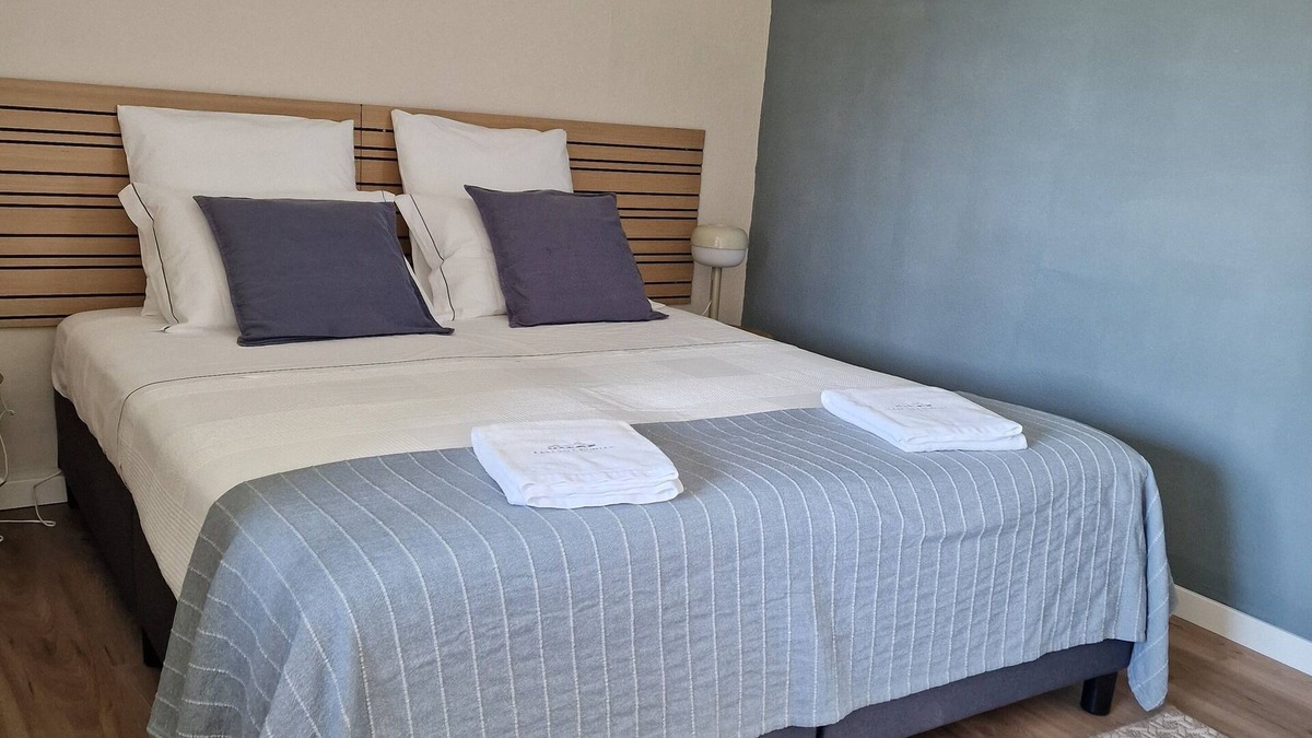 Golega Apartment | Junior Studio in our Guesthouse Casa das Portas