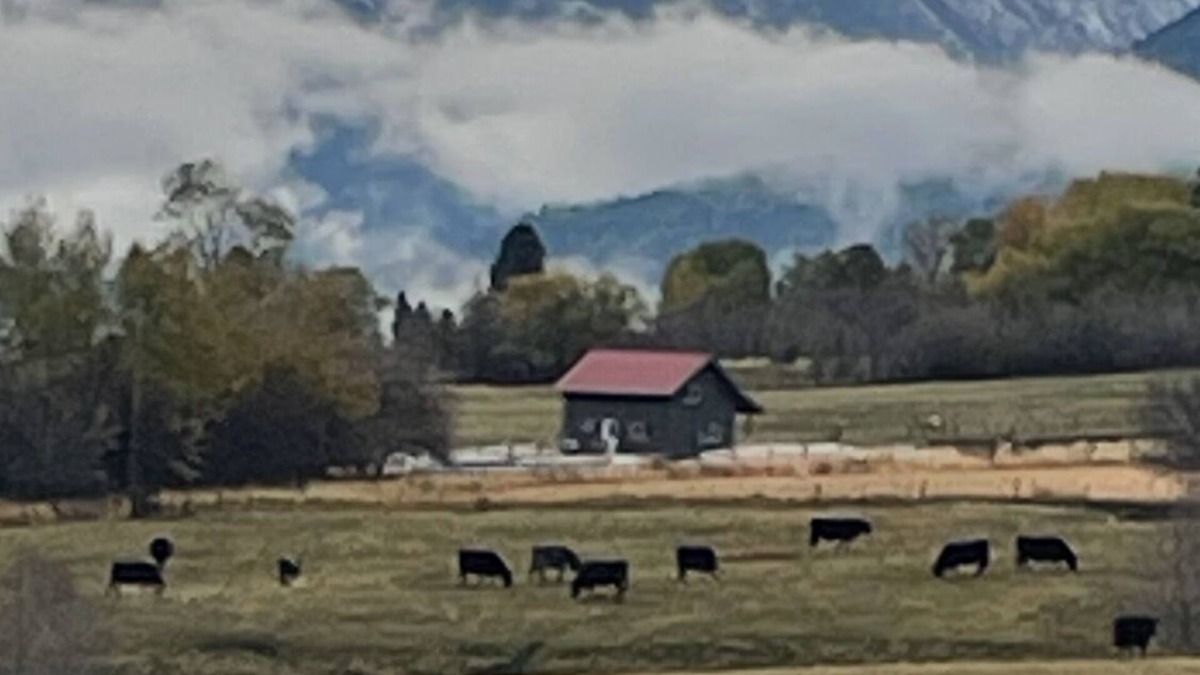 Enterprise Cabin | Juniper Cabin. Private cabin with majestic views and clear stargazing dome!