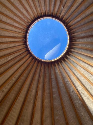 Friedland Other | Jurte