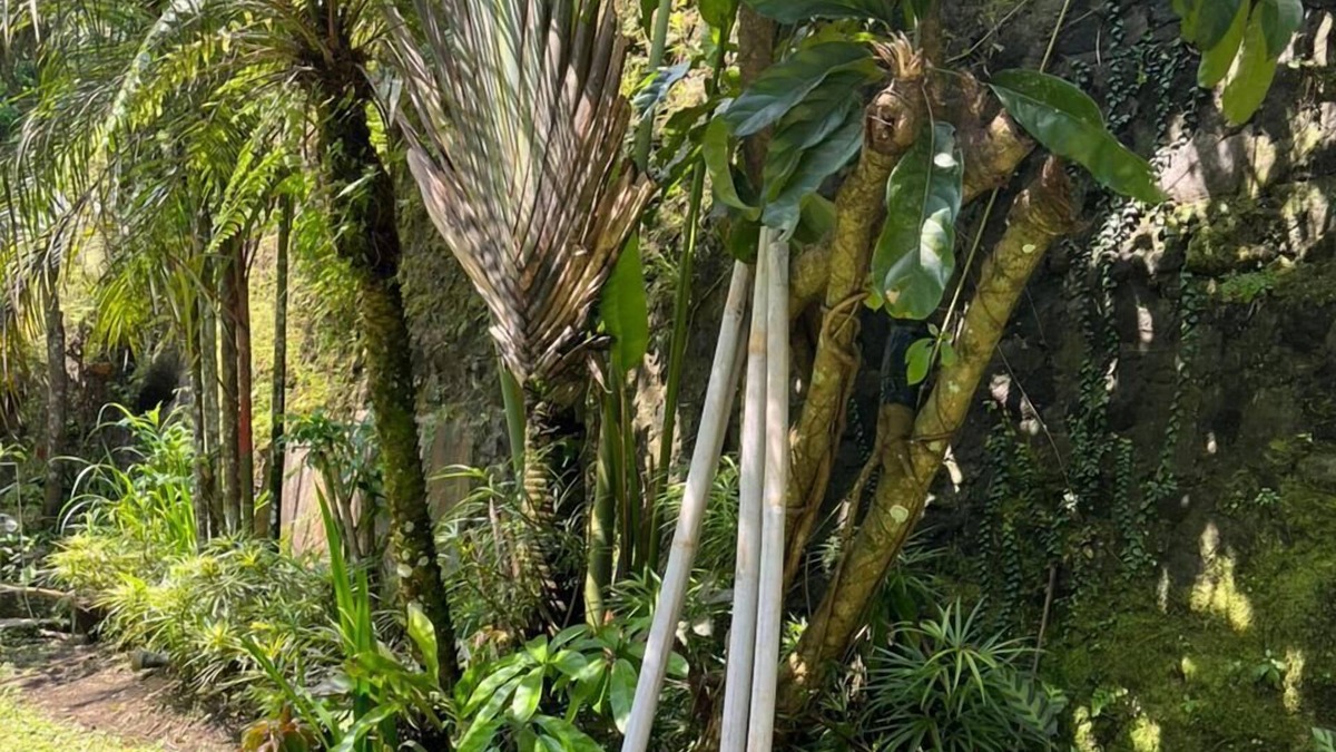 Pakem Hotel | K Hotel Kaliurang