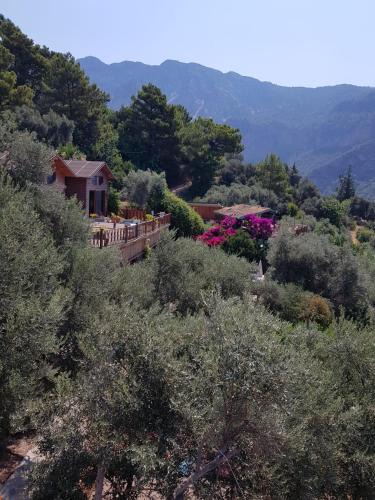 Kabak Valley Bed & Breakfast | Kabak Armes Otel