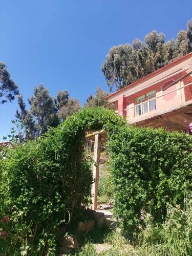 Isla Amantani Cabin | Kactus Lodge - Amantani