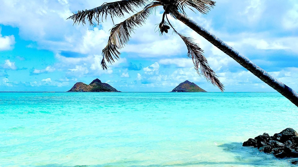 Kailua House | Kailua Beach Lofty Bungalow - A premier luxury beachside bungalow