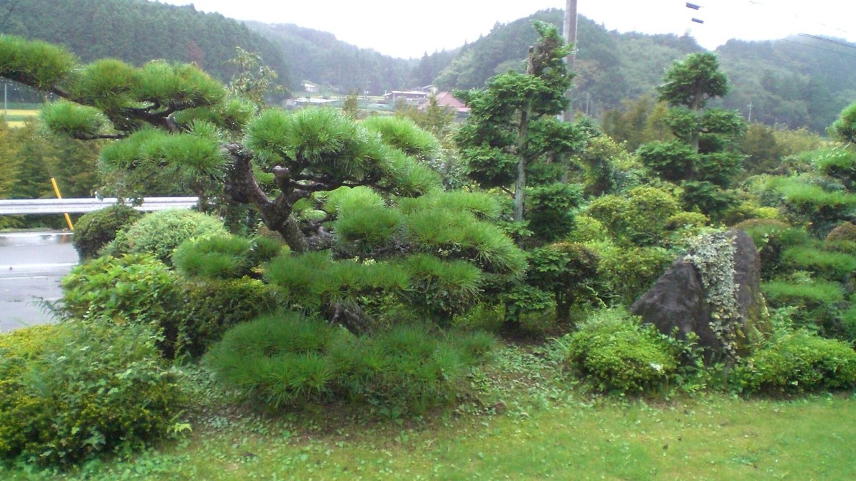 Nakagawa Apartment | Kakinouen