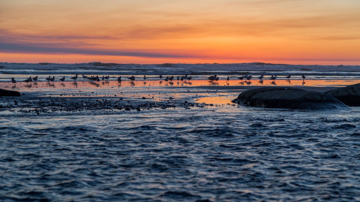 Kalaloch Cabin | Kalaloch Lodge