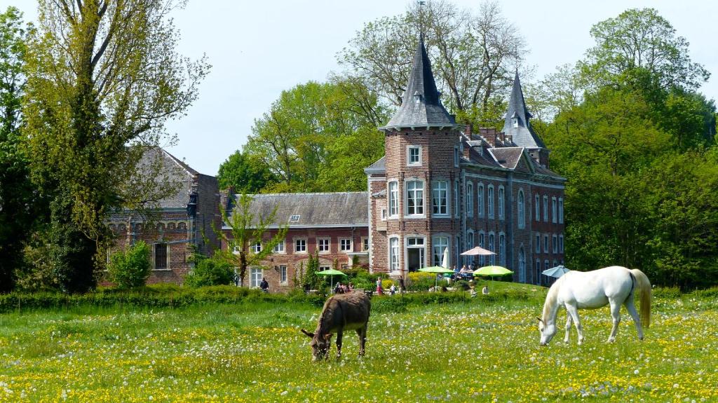 Sint-Truiden Apartment | Kasteel Nieuwenhoven
