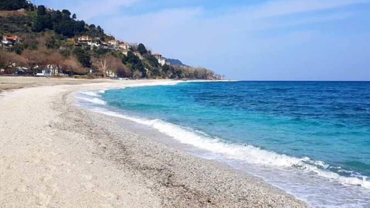 Papa Nero House | Katerina Fotopoulos Homes & Apartments