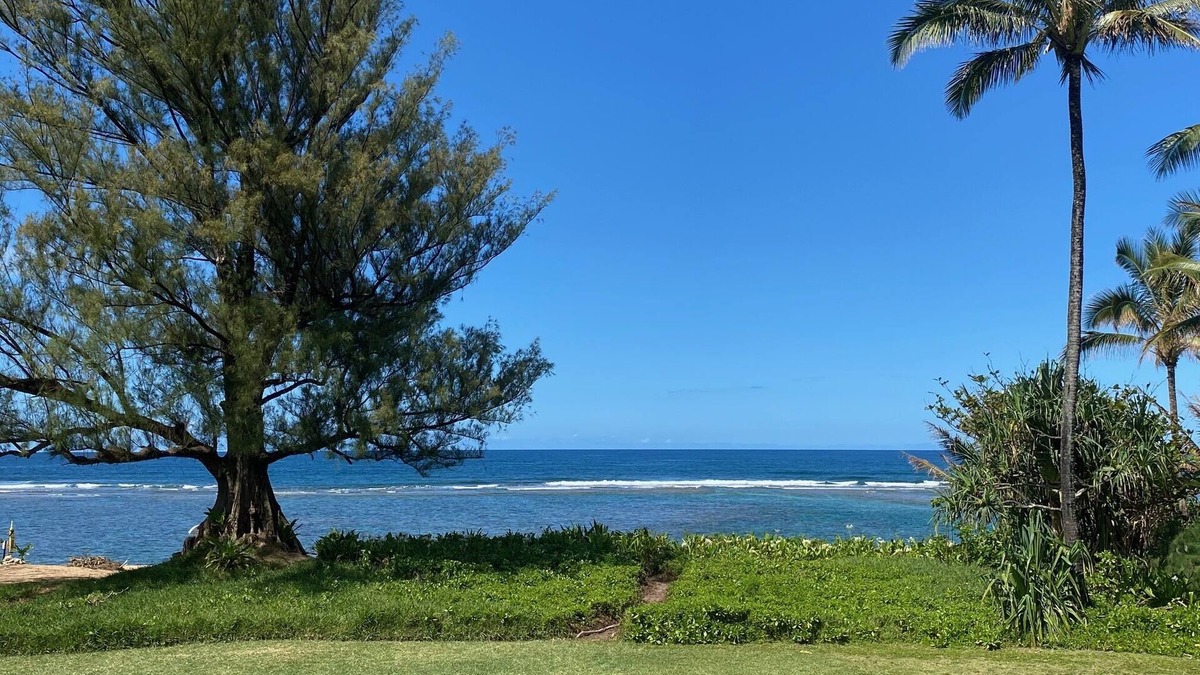 Wainiha House | Kauai North Shore Oceanfront - Mountain View Beachouse TVNC#1136 Tsunami Zone