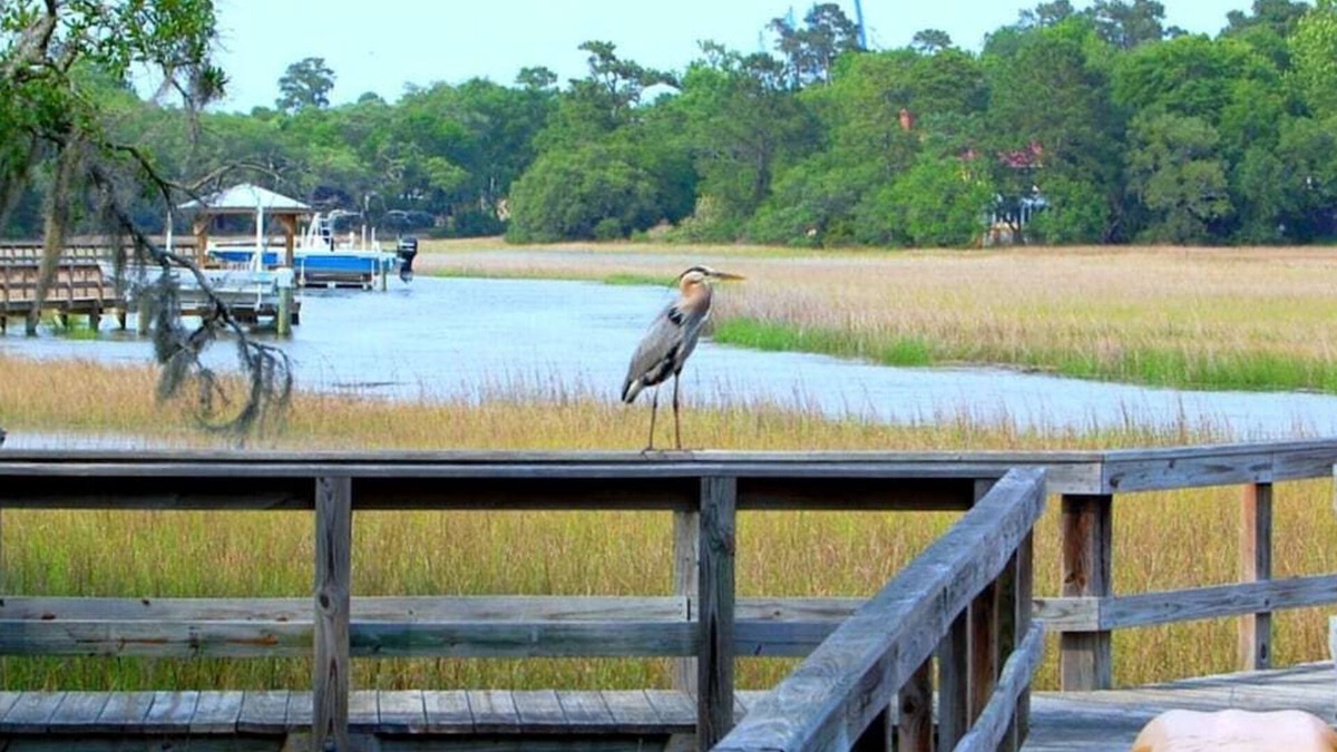 Scanlonville House | Kayaks-3rooms/2bath | Waterfront-DeepWater Dock | Spacious Private Attached Unit