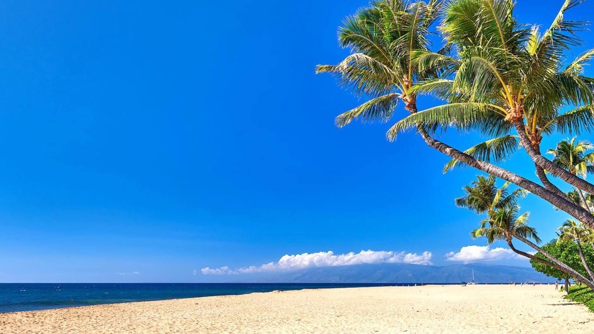 Honokowai Condo | KBM Resorts | FREE CAR | Kaanapali Shores | Ocean view | 2-Bedroom Condo, Recently Remodeled, Includes Beach Gear! KS-815