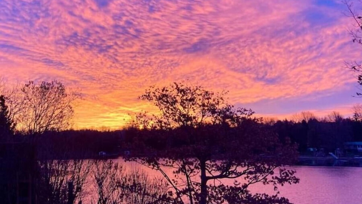 Omemee Cottage | Ke's Rustic Retreat On the Lakenn