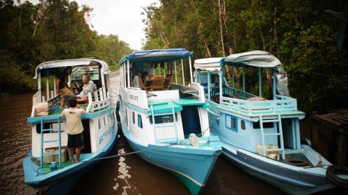 Kumai Boat Rental | Kelotok Orangutan Tanjung Puting