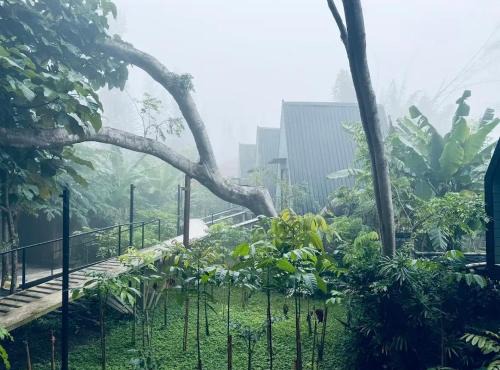 Thung Samo Other | Khaokhai Cafe & Resort