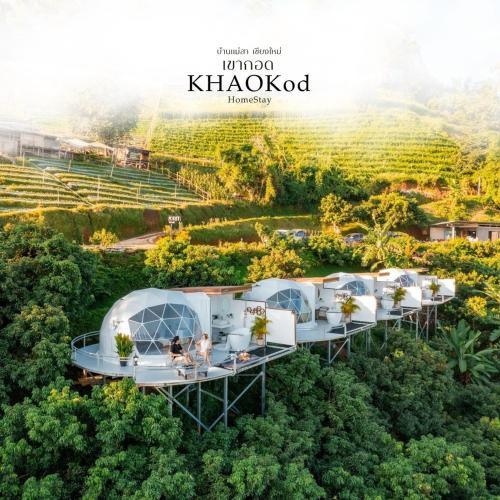 Pong Yaeng Other | Khaokod Homestay