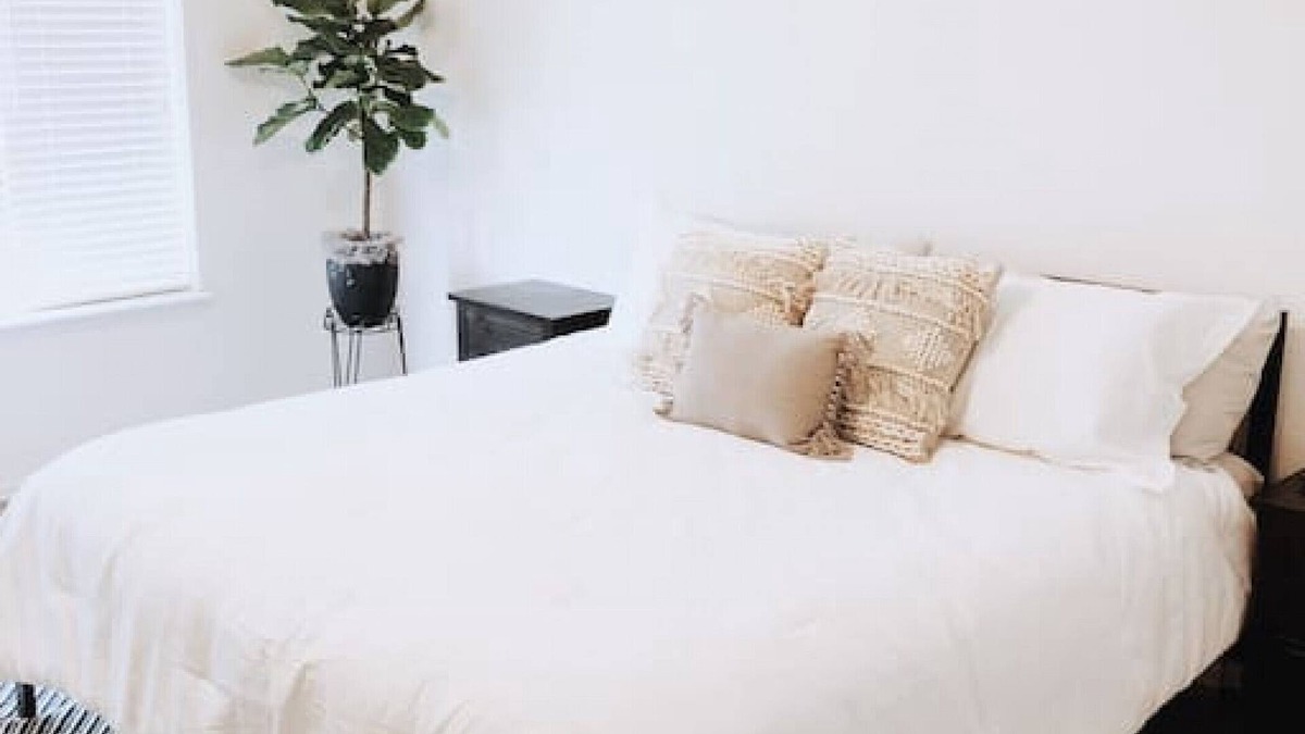 Stetson Hills Apartment | King Bed Suite! Pike Peak Views! Private Entrance.