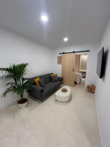 Montana Roja Apartment | Kira Suite