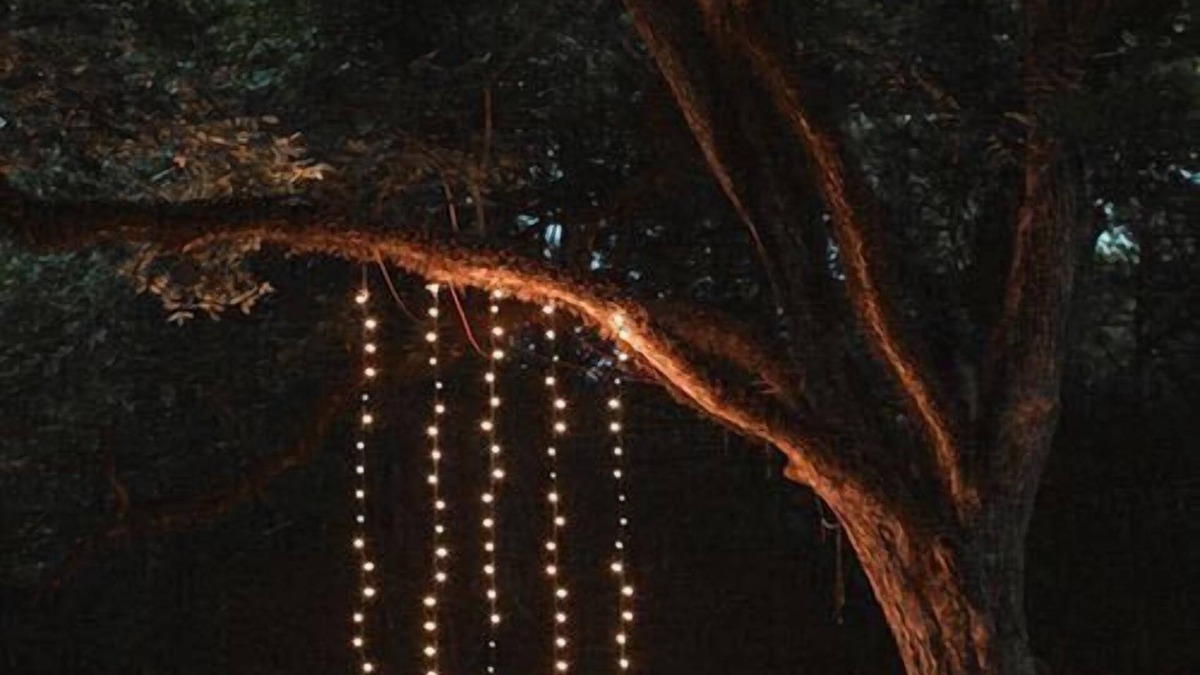 Cinarcik RV Rental | Kirkahvesi Garden - Campsite