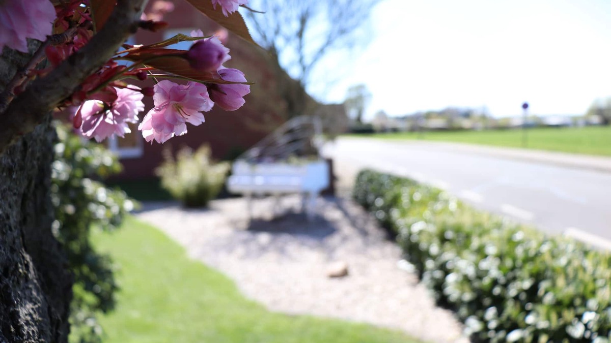 Huede Apartment | Kleine Aber Feine Ferienwohnung mit Blick auf den Dümmersee