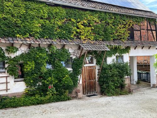 Neu-Eichenberg Apartment | Kleine Wohnung auf dem Land