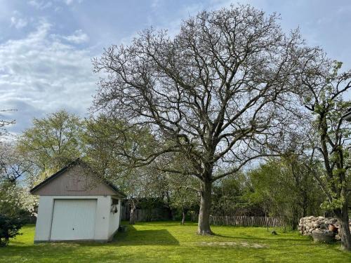 Rehna House | Kleines Haus am Feld