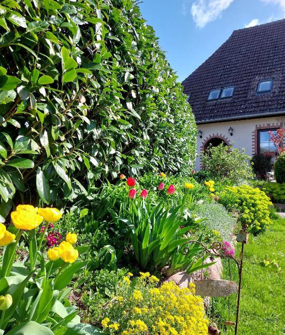 Althof Apartment | Klosterblick