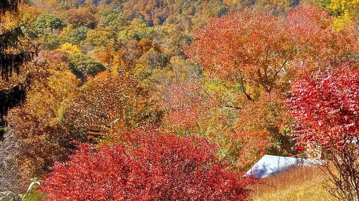 Green Mountain Villa | Knight's View~ Mountain sunset view~all pets allowed
